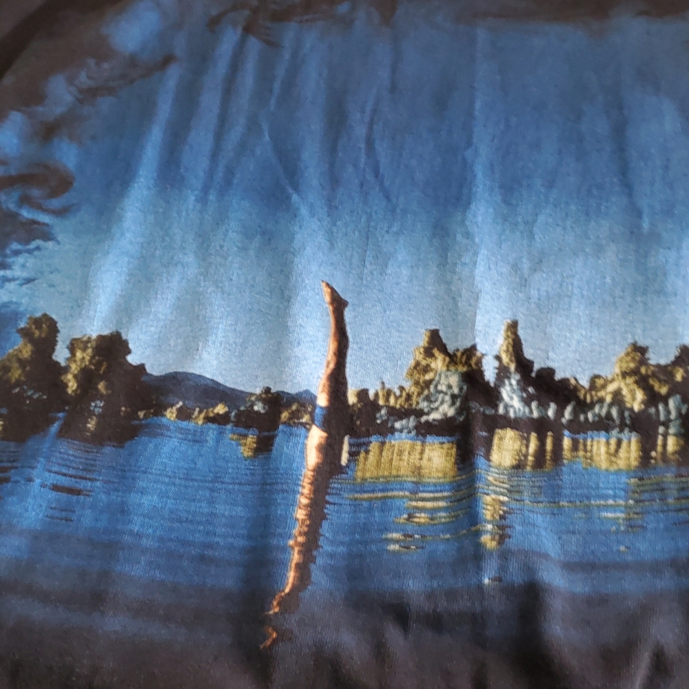 Men's Blue Tee Shirt